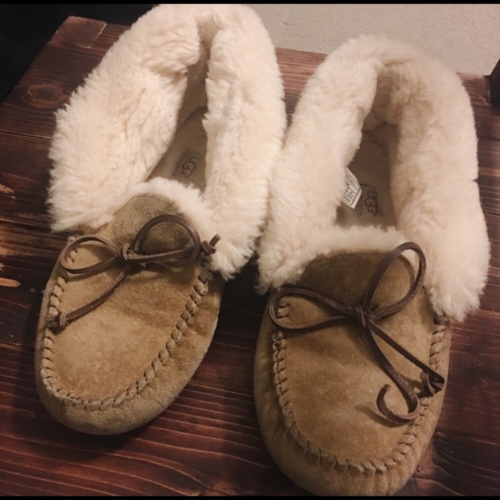 Cozy Ugg Slippers